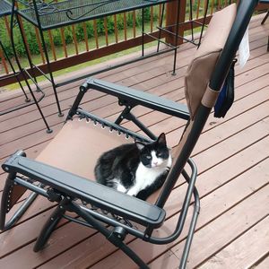 Meet your Posher, Frankie